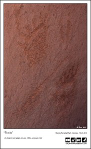 "Tracks Petroglyph"