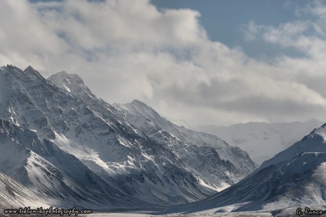Interior_Alaska