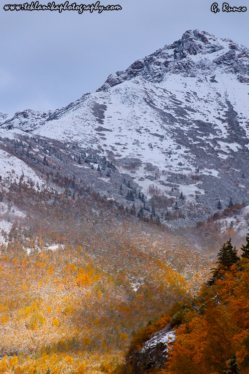 © Teklanika Photography 2012