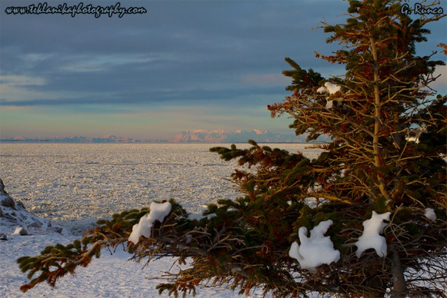  © Teklanika Photography 2012