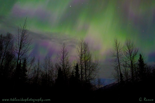 © Teklanika Photography 2013