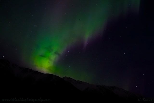 © Teklanika Photography 2013