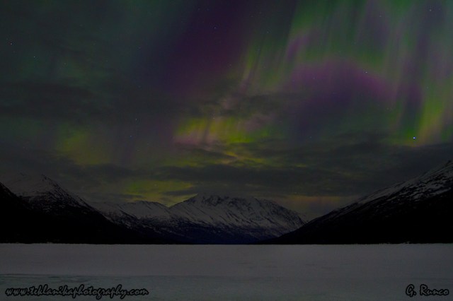 © Teklanika Photography 2013