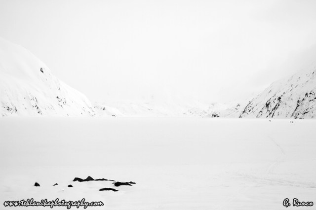 © Teklanika Photography 2013