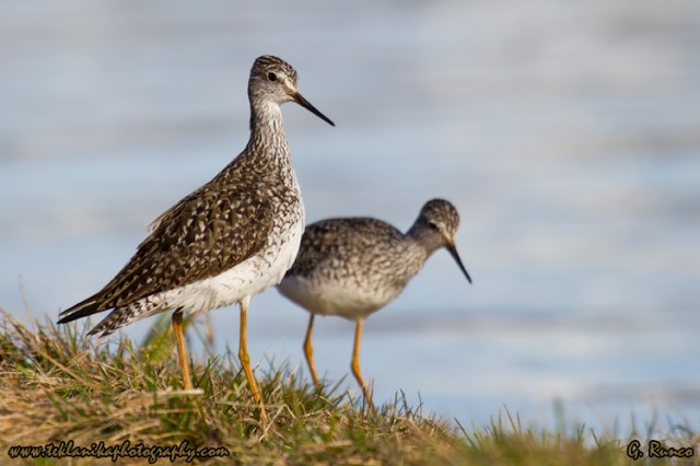 © Teklanika Photography 2013