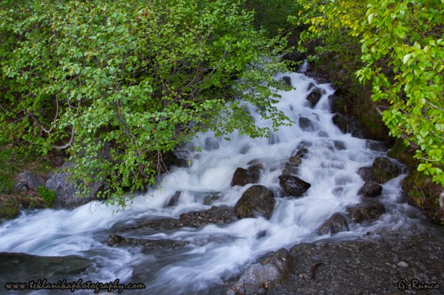 © Teklanika Photography 2013