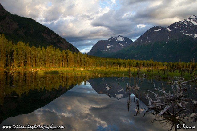 © Teklanika Photography 2013