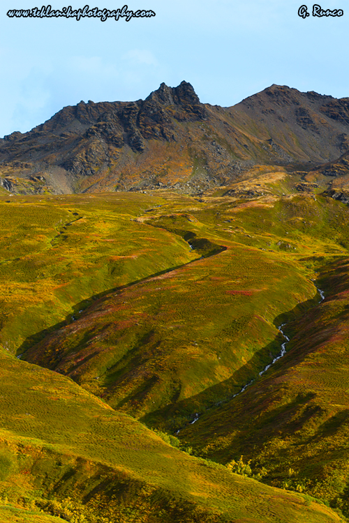 © Teklanika Photography 2013