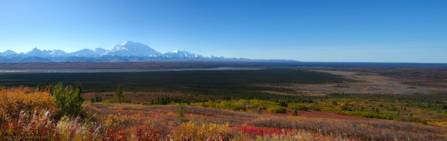 © Teklanika Photography 2013