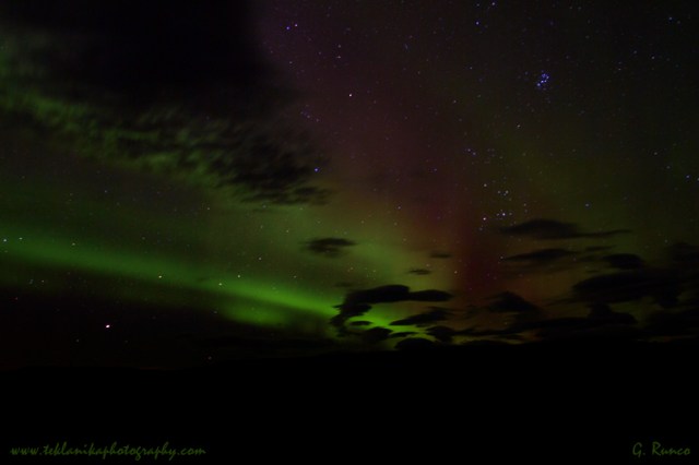 © Teklanika Photography 2013