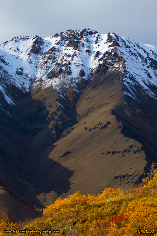 © Teklanika Photography 2013