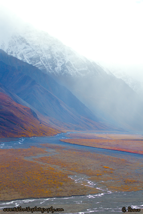 © Teklanika Photography 2013