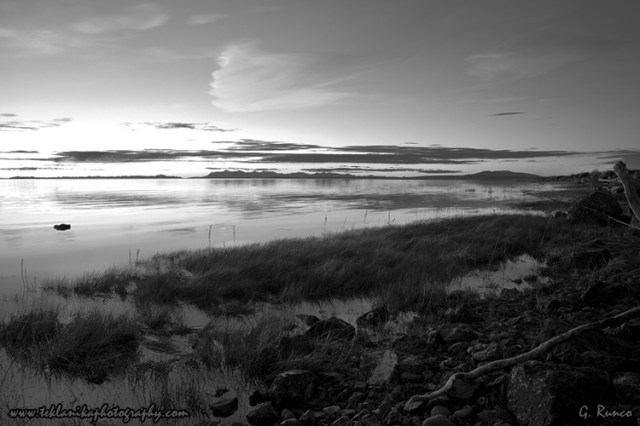 © Teklanika Photography 2013