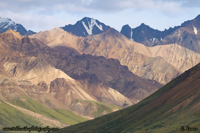 © Teklanika Photography 2013