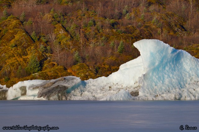 © Teklanika Photography 2013