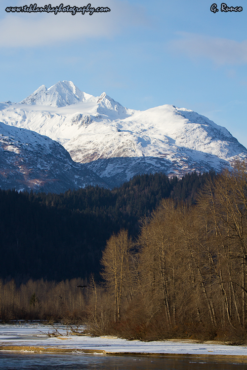 © Teklanika Photography 2013