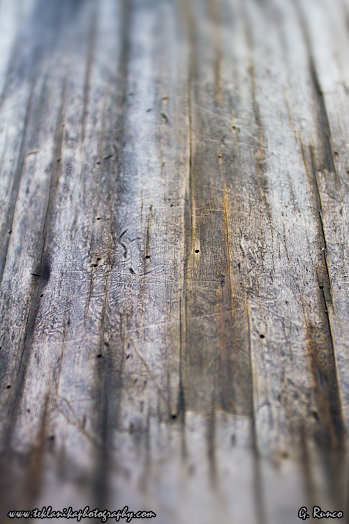 © Teklanika Photography 2013