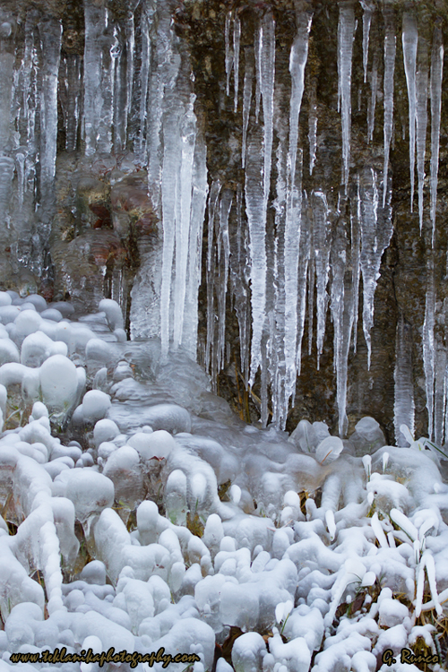 © Teklanika Photography 2013
