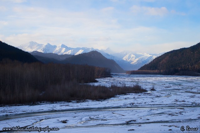 © Teklanika Photography 2013