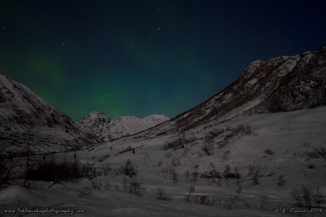 © Teklanika Photography 2014