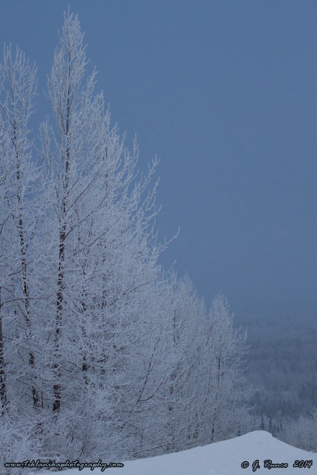 © Teklanika Photography 2014