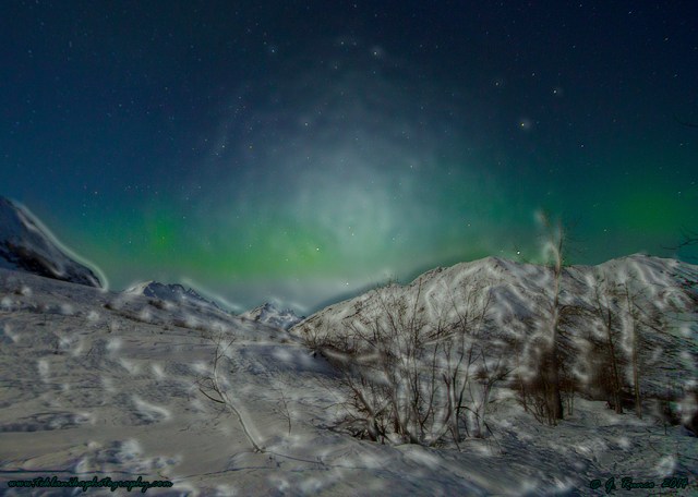 © Teklanika Photography 2014