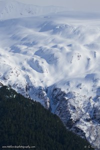 © Teklanika Photography 2014