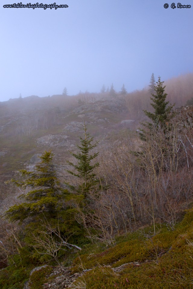 © Teklanika Photography 2014