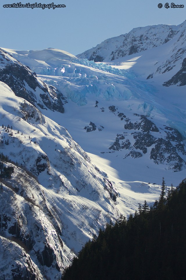 © Teklanika Photography 2014