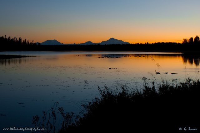 © Teklanika Photography 2013