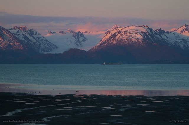 © Teklanika Photography 2014