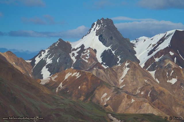 © Teklanika Photography 2014