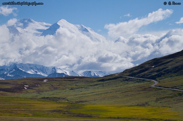 © Teklanika Photography 2014