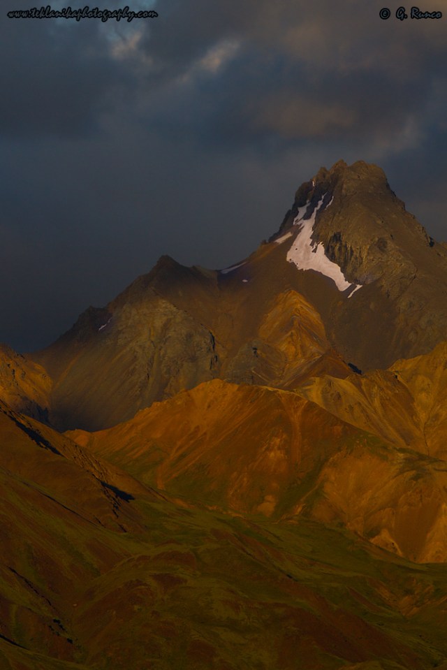 © Teklanika Photography 2014