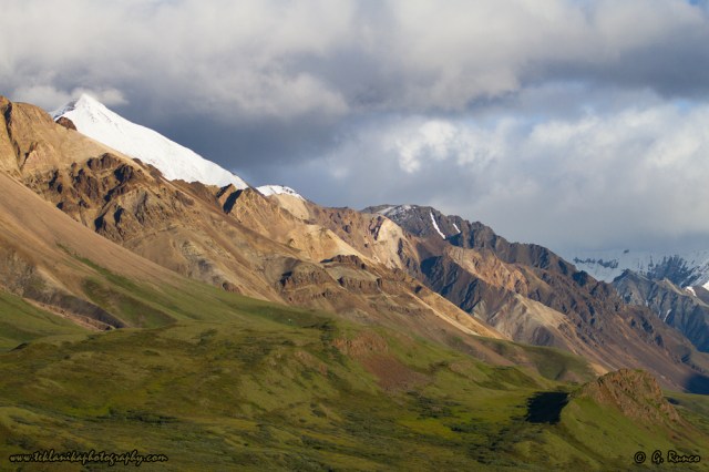 © Teklanika Photography 2014