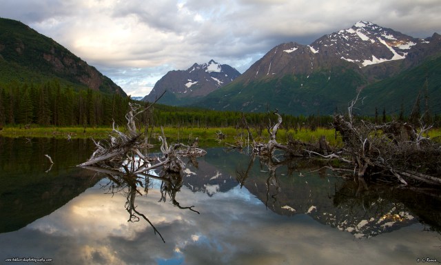 © Teklanika Photography 2013