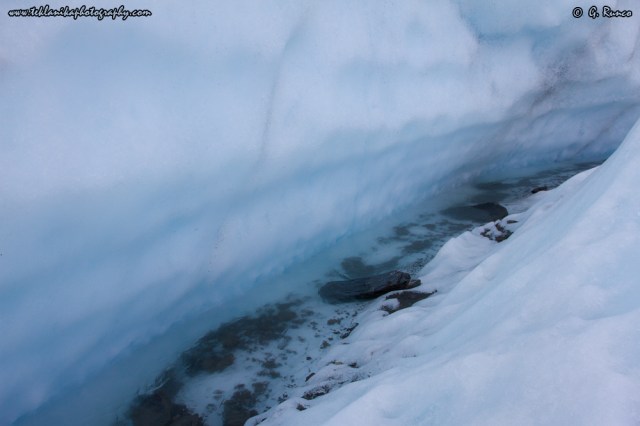 © Teklanika Photography 2014