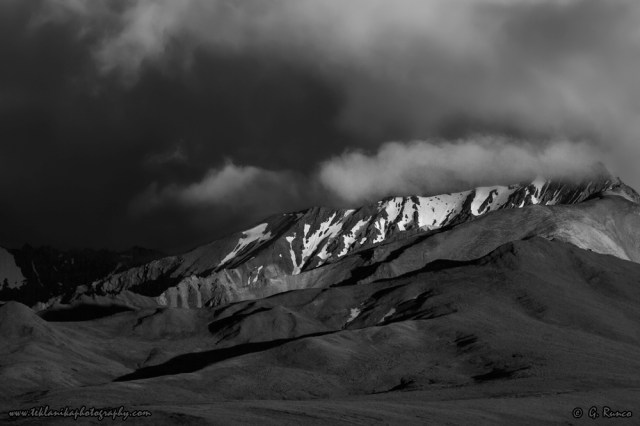 © Teklanika Photography 2014