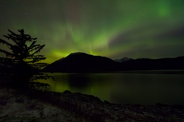 © Teklanika Photography 2014