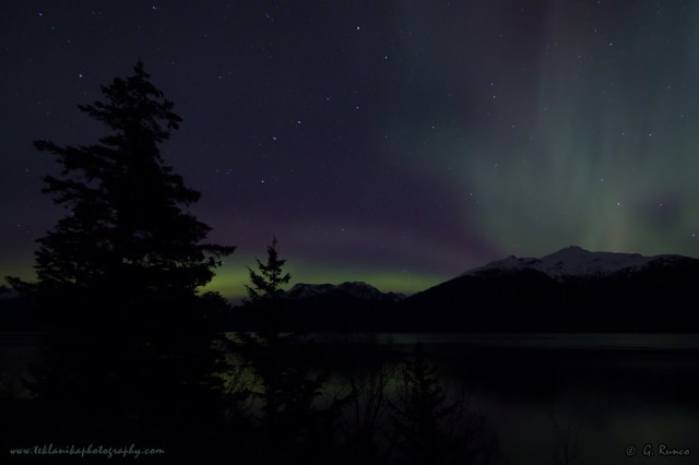 © Teklanika Photography 2014