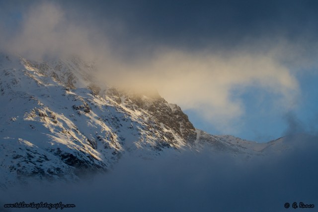 © Teklanika Photography 2014