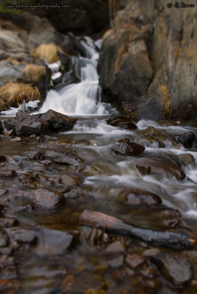 © Teklanika Photography 2014