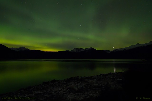 © Teklanika Photography 2014