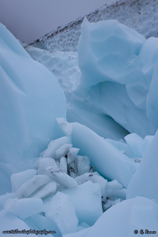 © Teklanika Photography 2014