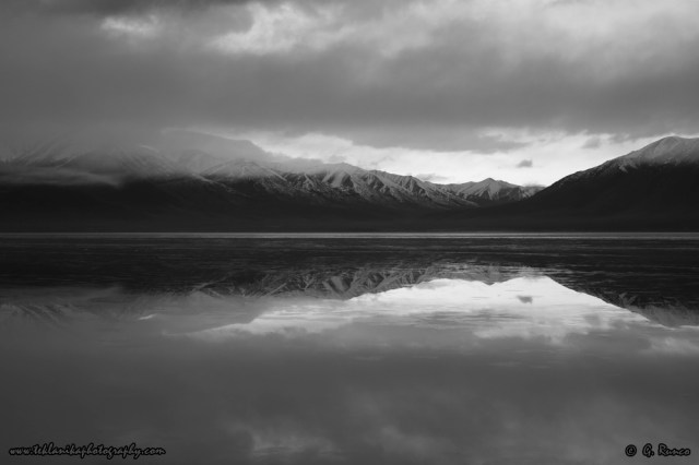 © Teklanika Photography 2015