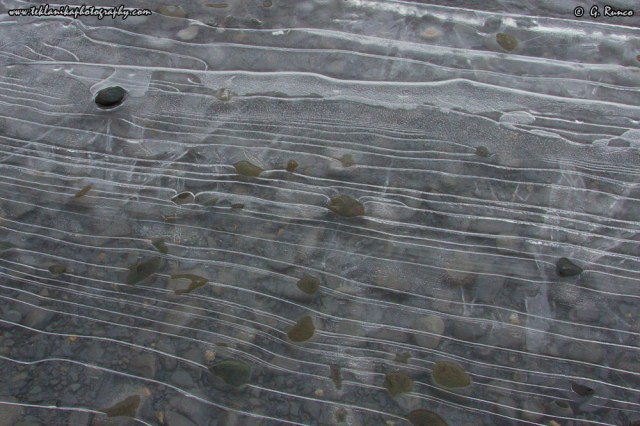 © Teklanika Photography 2014