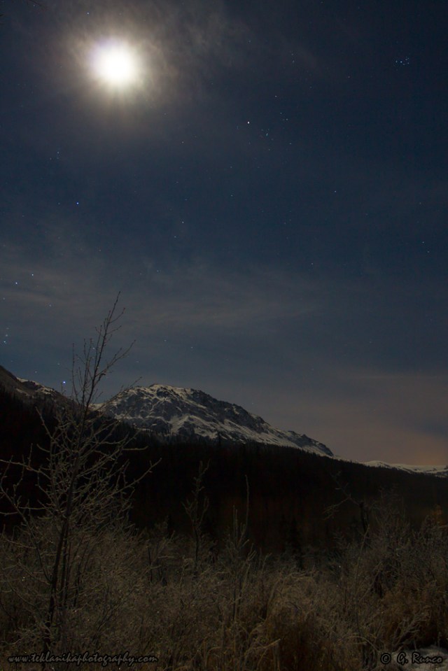 © Teklanika Photography 2015