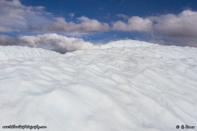 © Teklanika Photography 2014