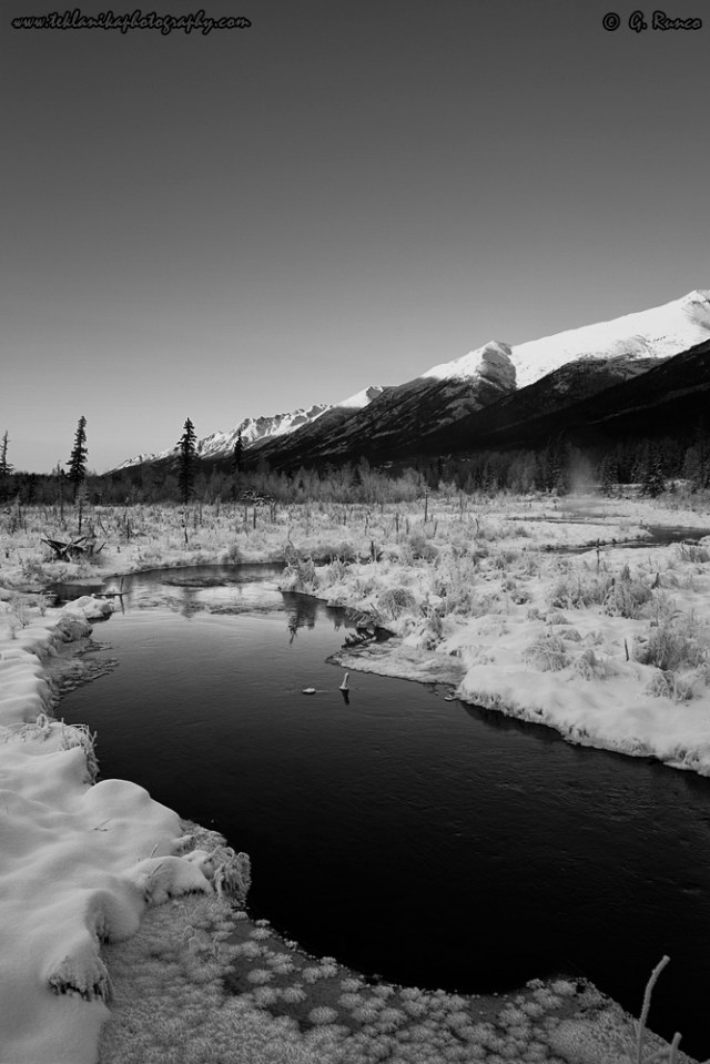 © Teklanika Photography 2014