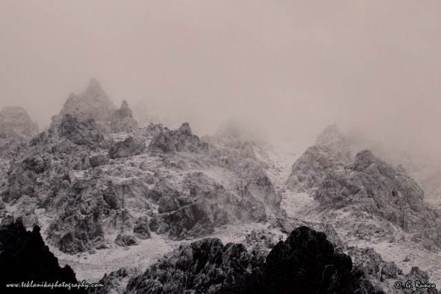 © Teklanika Photography 2012